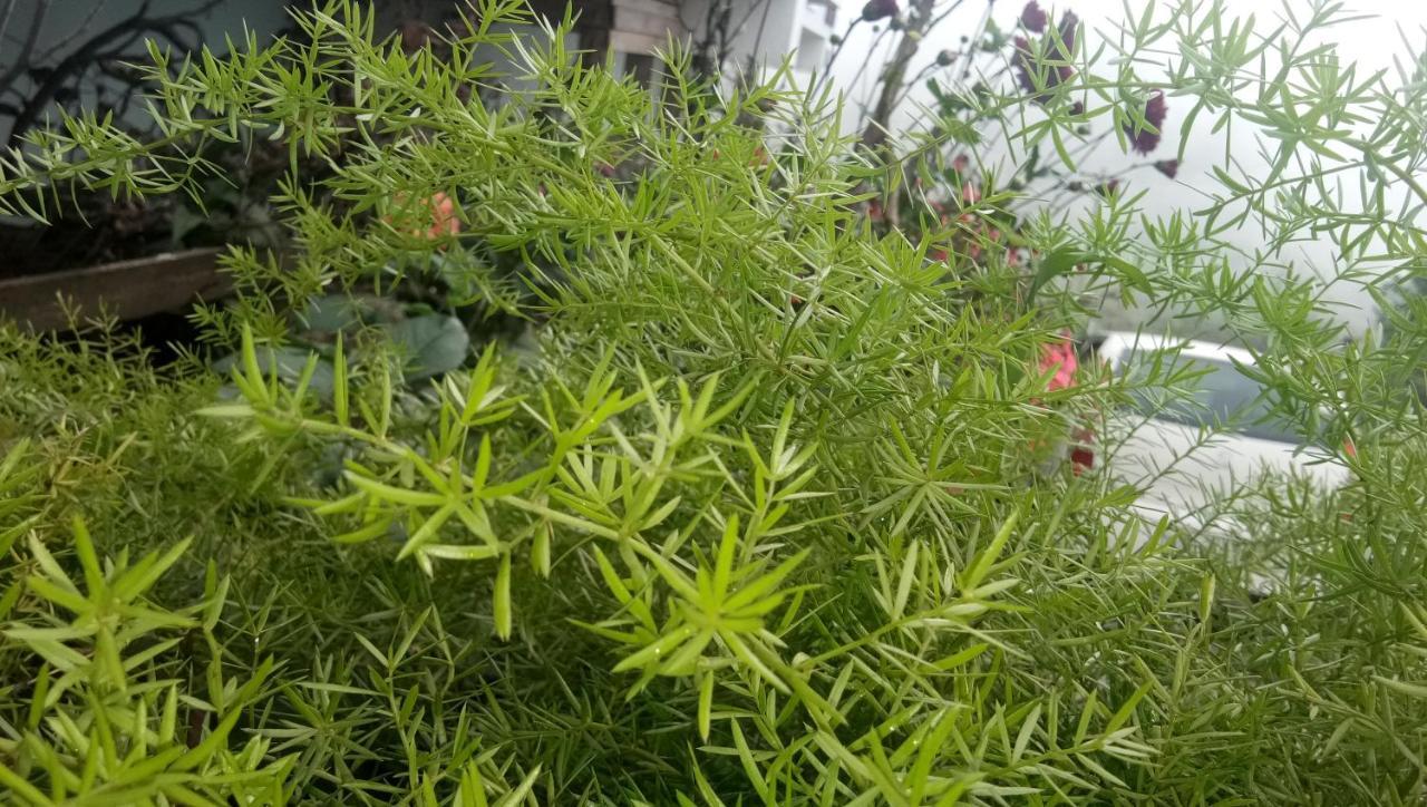 Ezhil Residency Hotel Kodaikanal Exterior foto